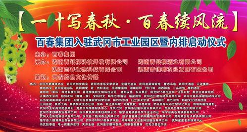 武冈新闻爆料事件始末,真相追踪与舆论漩涡  第3张