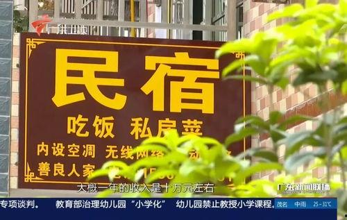 广东最新爆料消息新闻联播,新闻联播聚焦热点事件  第3张