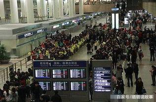 袁立爆料娱乐圈黑料,揭秘明星背后的惊人真相  第1张