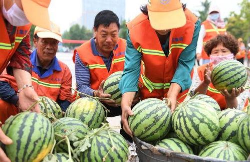 郯城吃瓜最新事件爆料新闻,最新爆料揭示惊人真相 第2张 郯城吃瓜最新事件爆料新闻,最新爆料揭示惊人真相 第2张