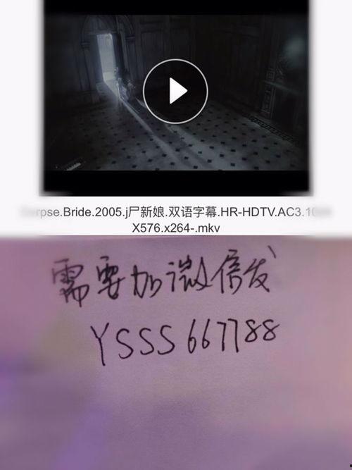 泰国尸新娘在线观看,尸新娘的诅咒之谜  第2张