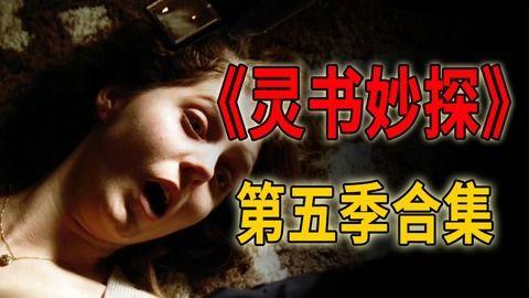 灵书妙探在线观看,探案解谜，智慧与勇气的完美结合