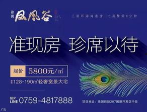 湛江小强最新爆料 第1张 湛江小强最新爆料 第1张
