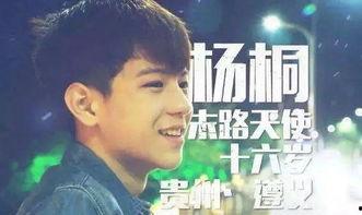 变形记杨桐在线观看,探寻人性与命运的交织