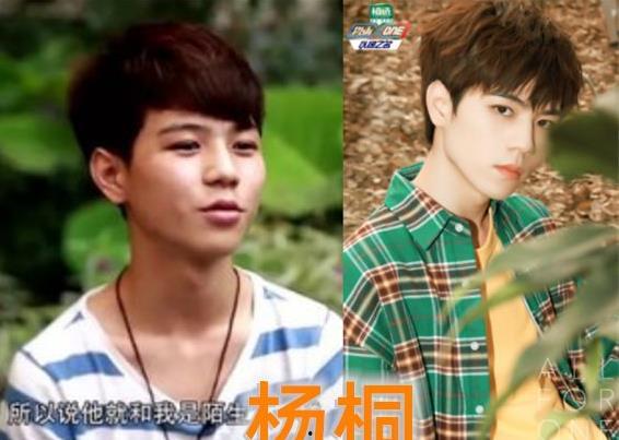 变形记杨桐在线观看,探寻人性与命运的交织 第3张 变形记杨桐在线观看,探寻人性与命运的交织 第3张