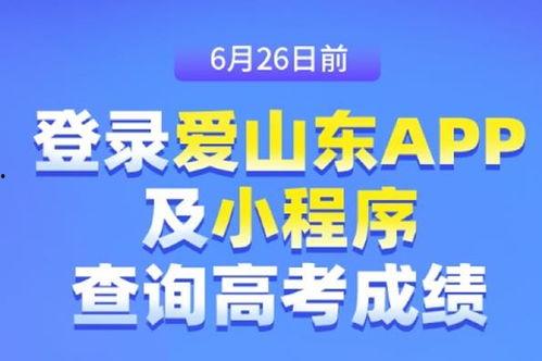 东营新闻爆料,最新爆料揭示城市动态