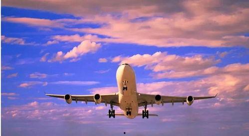 宝鸡飞机场爆料最新消息,航班调整与出行提示揭晓  第3张