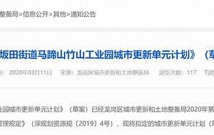 深圳市网民爆料新闻报道,最新新闻报道聚焦城市热点事件  第2张