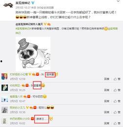 爆料实拍视频在线观看,现场直击,揭秘事件真相 第3张 爆料实拍视频在线观看,现场直击,揭秘事件真相 第3张