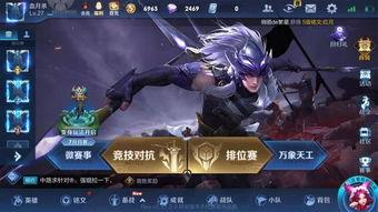 王者最新爆料游戏,神秘英雄登场，战局风云再起！