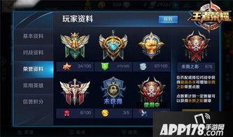 王者最新爆料游戏,神秘英雄登场，战局风云再起！  第3张