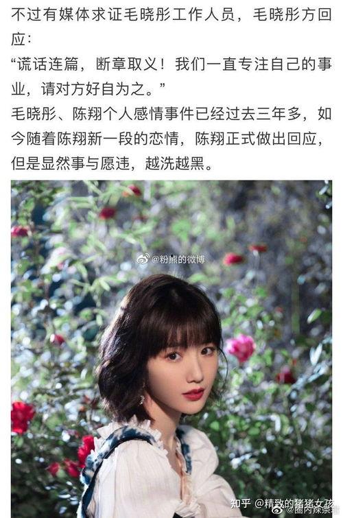 娱乐圈吃瓜崽是谁,揭秘娱乐圈神秘“吃瓜崽”身份之谜  第2张