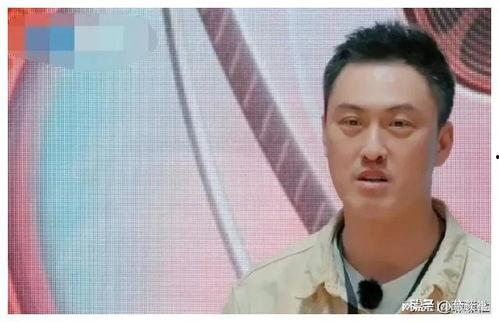 娱乐圈吃瓜崽是谁,揭秘娱乐圈神秘“吃瓜崽”身份之谜  第3张