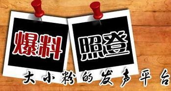 大足新闻爆料电话,揭秘本地热点事件 第3张 大足新闻爆料电话,揭秘本地热点事件 第3张