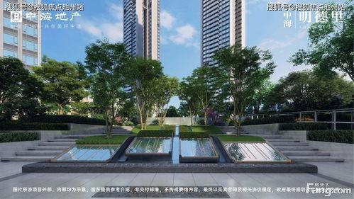 石家庄天苑爆料最新消息,揭秘神秘事件背后的真相 第3张 石家庄天苑爆料最新消息,揭秘神秘事件背后的真相 第3张