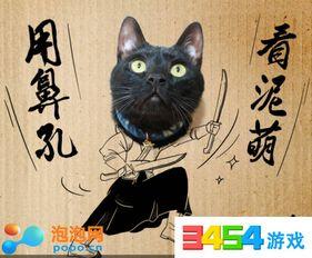黑猫网红爆料视频大全集,揭秘网络红人幕后真相 第2张 黑猫网红爆料视频大全集,揭秘网络红人幕后真相 第2张