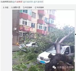 大连西岗最新爆料,揭秘城市变迁中的热点事件