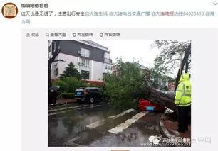 大连西岗最新爆料,揭秘城市变迁中的热点事件 第2张 大连西岗最新爆料,揭秘城市变迁中的热点事件 第2张