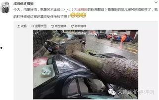 大连西岗最新爆料,揭秘城市变迁中的热点事件 第3张 大连西岗最新爆料,揭秘城市变迁中的热点事件 第3张