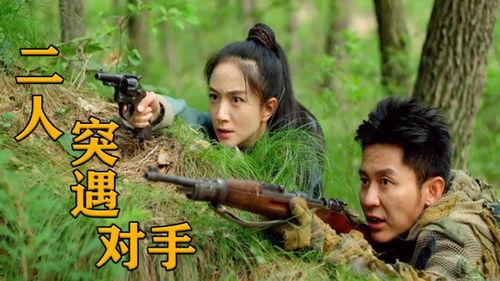 乘胜阻击在线观看,在线观看，揭秘战场英雄传奇
