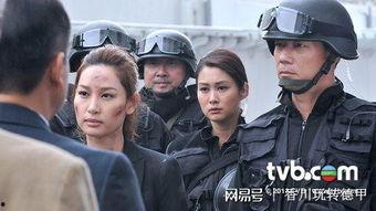 乘胜阻击在线观看,在线观看,揭秘战场英雄传奇 第3张 乘胜阻击在线观看,在线观看,揭秘战场英雄传奇 第3张