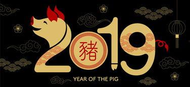快乐2019在线观看,年度盛宴,笑料横生的欢乐时光回顾 第3张 快乐2019在线观看,年度盛宴,笑料横生的欢乐时光回顾 第3张