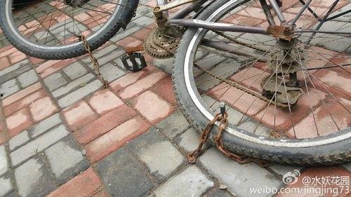 小区自行车爆料视频,共享单车停放乱象引发热议