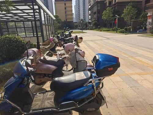 小区自行车爆料视频,共享单车停放乱象引发热议 第2张 小区自行车爆料视频,共享单车停放乱象引发热议 第2张