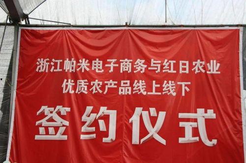 在线观看致富经,揭秘网络时代财富增长之道  第2张