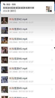 2016在线观看,2016年网络视频观看趋势盘点