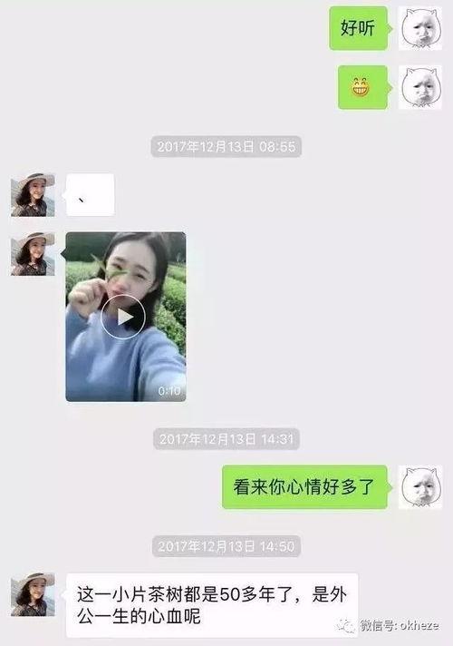 如何爆料咋骗人的视频,跟随视频揭露骗术真相  第2张