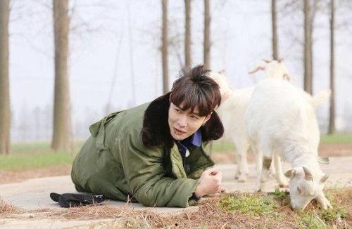 爆料放羊的视频,揭秘草原牧民生活瞬间  第2张 爆料放羊的视频,揭秘草原牧民生活瞬间  第2张