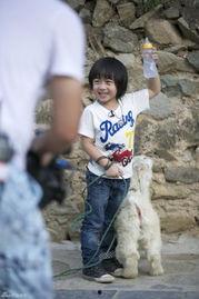 爆料放羊的视频,揭秘草原牧民生活瞬间  第3张 爆料放羊的视频,揭秘草原牧民生活瞬间  第3张