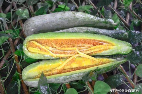 吃各种网红瓜的网站,各大热门网站吃瓜指南 第3张 吃各种网红瓜的网站,各大热门网站吃瓜指南 第3张