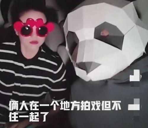 大锤爆料杨洋是真的吗视频,视频揭露背后真相  第2张