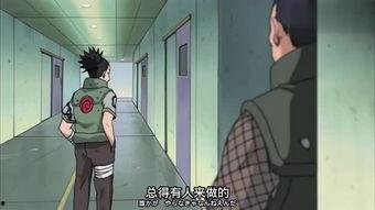 鹿丸爆料在哪里看视频啊,视频观看秘境大公开！  第2张