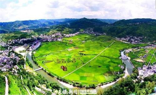 爆料禾丰美景视频大全,带你领略乡村风光无限