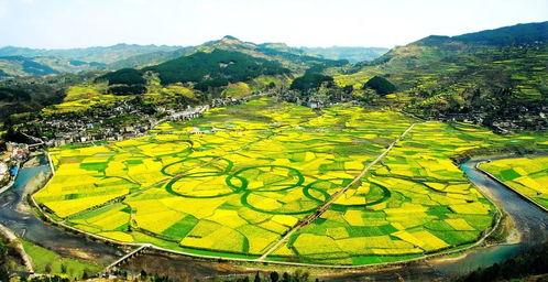 爆料禾丰美景视频大全,带你领略乡村风光无限  第2张