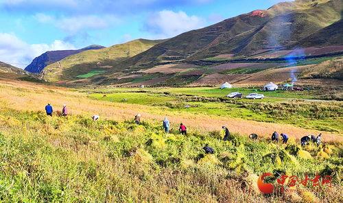 爆料禾丰美景视频大全,带你领略乡村风光无限  第3张