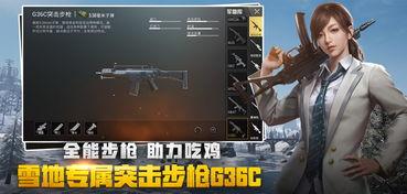 绝地求生功夫爆料大全视频,揭秘游戏中的神秘武术技能
