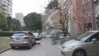 柳州小区爆料案件视频,视频揭秘惊人真相！  第3张