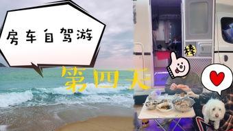 男子爆料旅游视频大全下载,旅游视频大全下载攻略，带你畅游世界