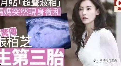 谢娜爆料张柏芝打架视频,一场娱乐圈的恩怨纠葛  第2张