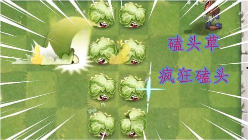 最新植物爆料,绿色奇迹与生命奥秘  第2张