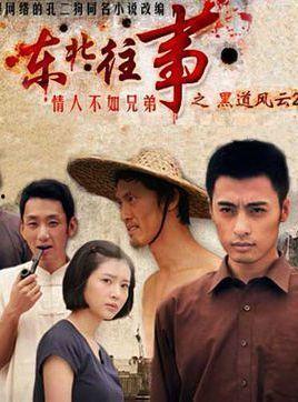 东北往事电视剧在线观看,热血青春岁月——重温那段激情燃烧的岁月