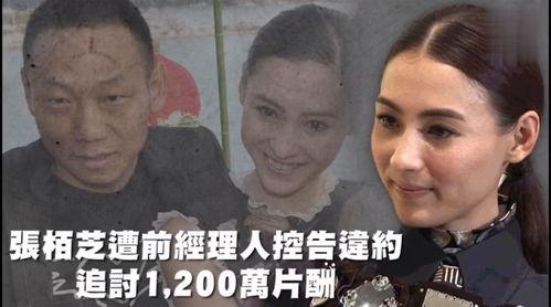 吃瓜综艺娱乐猪,娱乐猪的欢乐盛宴  第2张