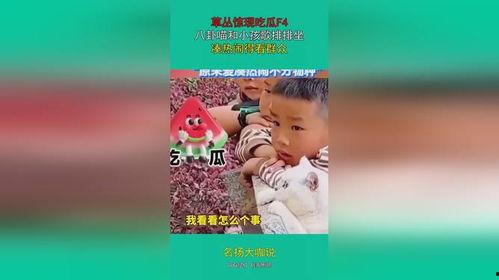 娱乐吃瓜群众歌曲大全,歌曲大全盘点 第2张 娱乐吃瓜群众歌曲大全,歌曲大全盘点 第2张