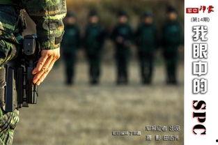 东方突鹰国语在线观看,国语版在线观看，领略东方神秘力量