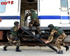 东方突鹰国语在线观看,国语版在线观看，领略东方神秘力量  第2张