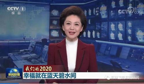 每日爆料深圳新闻联播回放,每日爆料回顾，聚焦城市热点动态  第3张